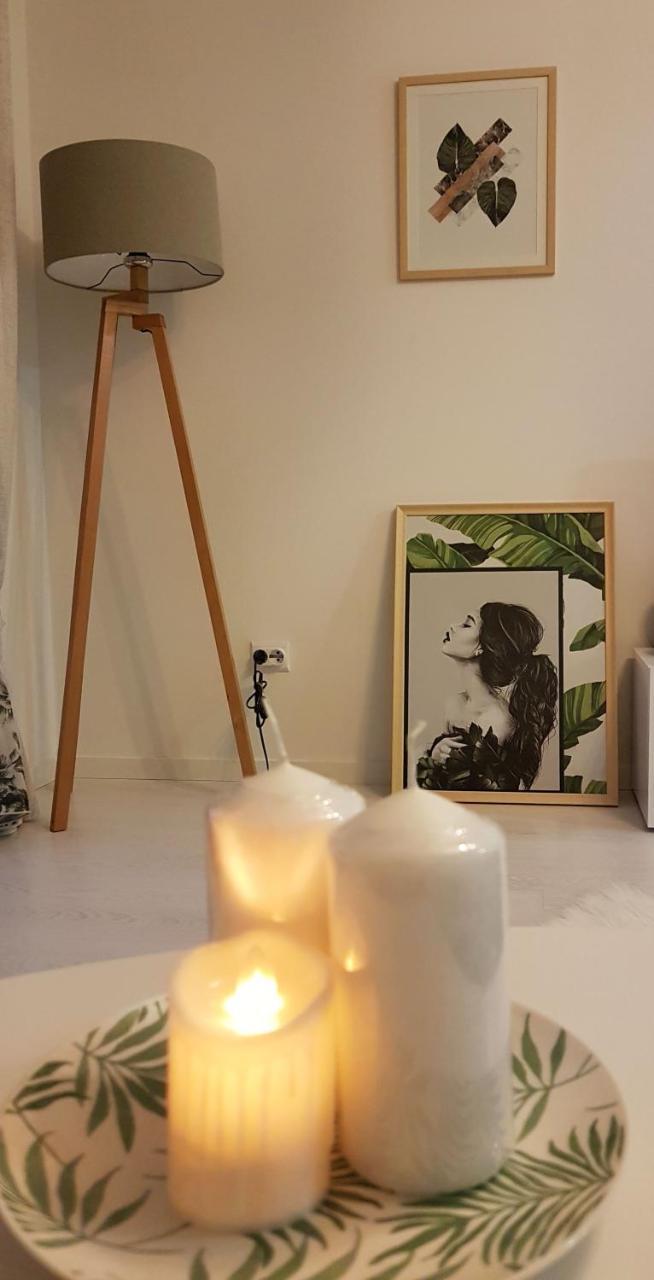 Bs Apartment Flatiron スコピエ エクステリア 写真